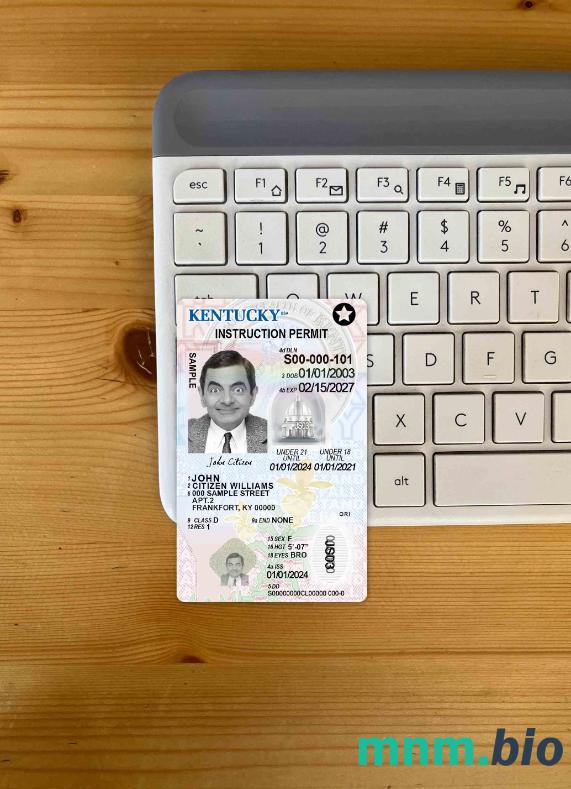 USA Kentucky prawo jazdy poniżej 21 lat photolook, w pełni edytowalny